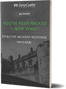 Preview: You've Been Hacked - Now What?